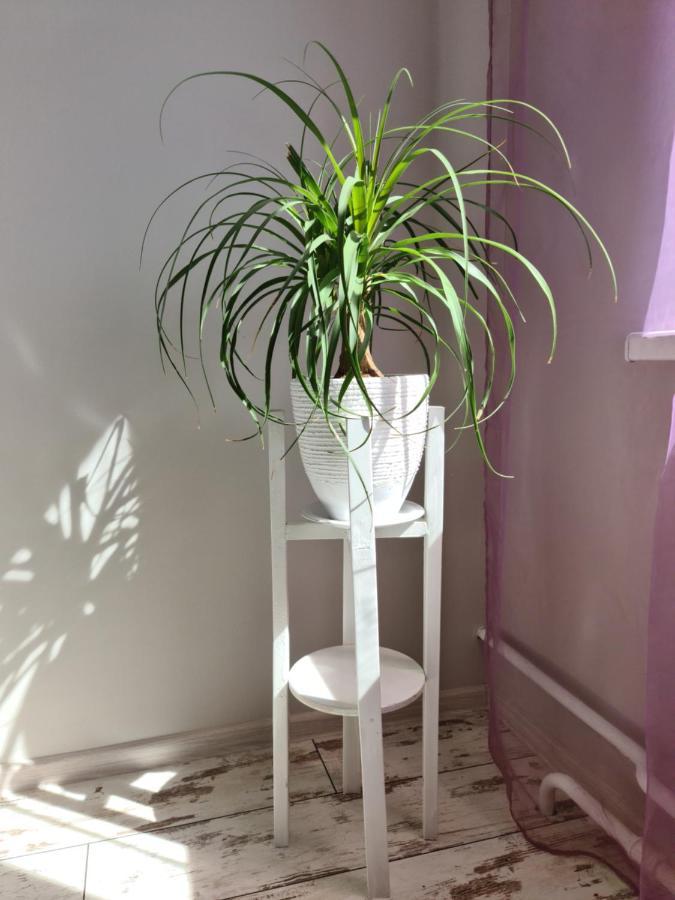 גרודנו Prime Apartments מראה חיצוני תמונה